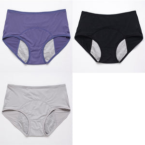 3pcs/Set Leak Proof Menstrual Panties Women Period Underwear Sexy Pants Physiological Underwear Plus Size Waterproof Briefs