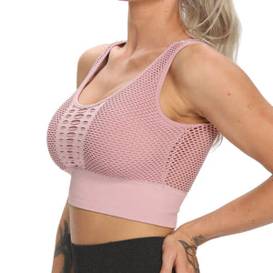 Seamless Cutout Bra Gym Vest Tops Fitness Sports Seamless Yoga Bra Underwear - Onnty